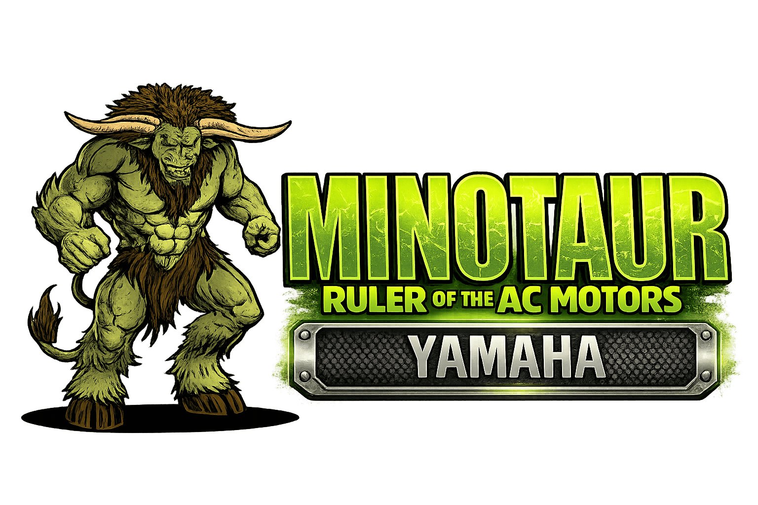 Yamaha DC to AC Conversion Kits